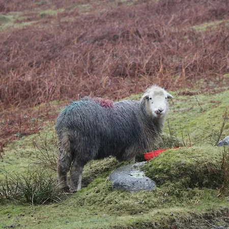Feriehus The Anvil *